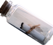 high-angle-view-nail-table